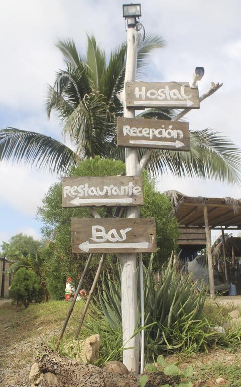 Psygon Surf Camp Hostel Máncora Buitenkant foto